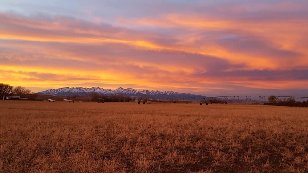 Sunset Over the Crazy Mountains.jpg